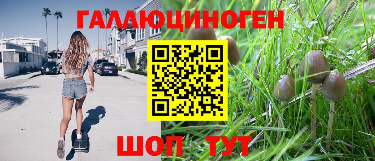 Псилоцибиновые грибы Psilocybe  Вход с VPN  Великий Новгород 