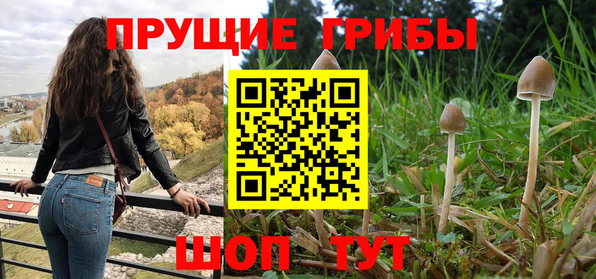 Галлюциногенные грибы GOLDEN TEACHER Великий Новгород