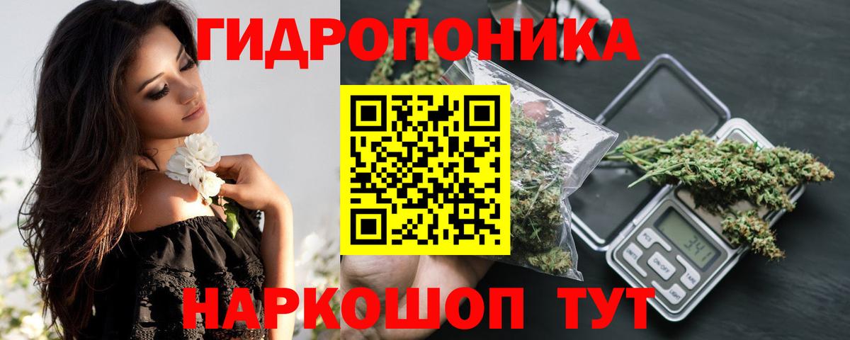 Бошки Шишки сатива Великий Новгород
